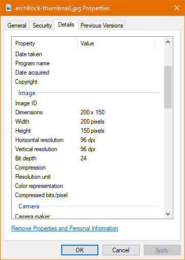 image details tab