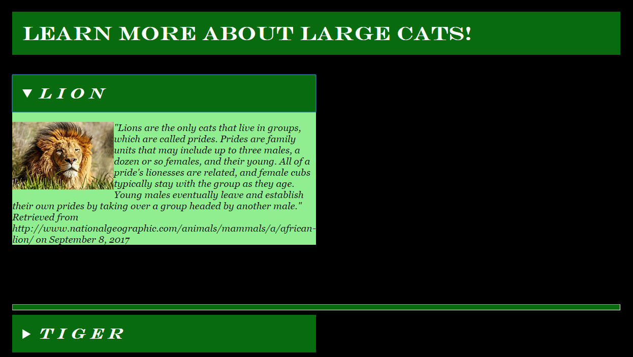 bigCat example
