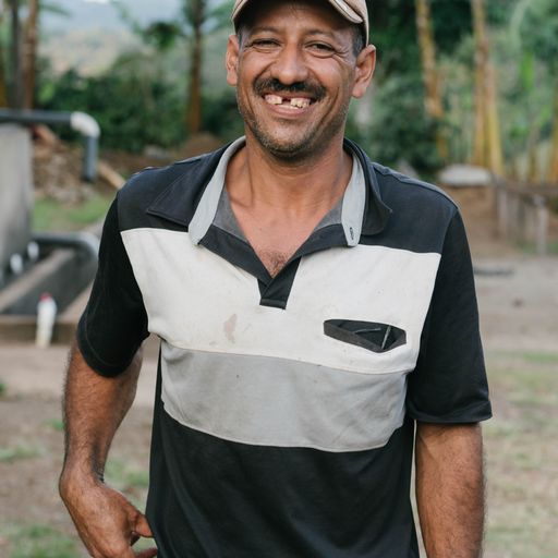 rootline farmer